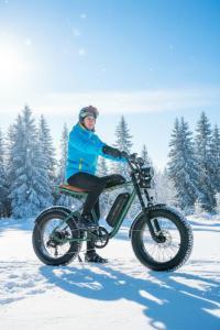 Engwe M20 Sähköpyörä kuvattuna kuskin kanssa ulkona.